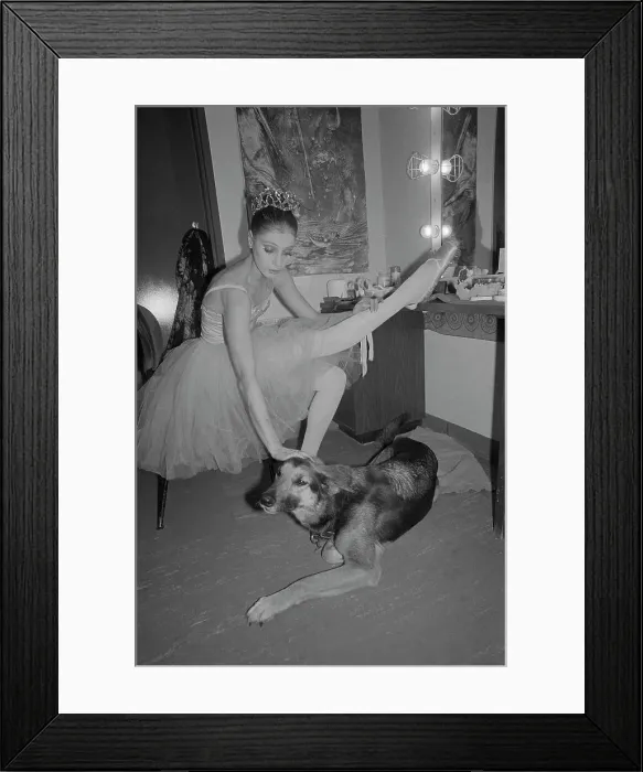 Framed Print : Ballerina Suzanne Farrell with Her Dog Framed Print : Ballerina Suzanne Farrell with Her Dog