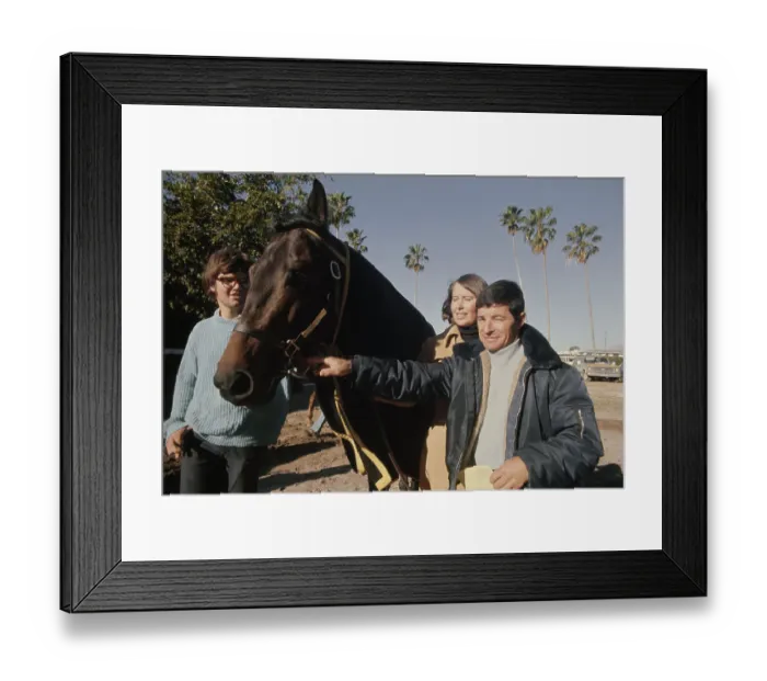Framed Print : Racehorse Seattle Slew Framed Print : Racehorse Seattle Slew