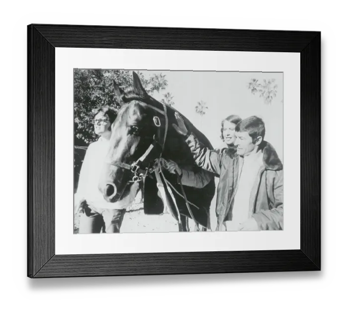 Framed Print : Race Horse Seattle Slew with Jockey Jean Cruguet and Affiliates Framed Print : Race Horse Seattle Slew with Jockey Jean Cruguet and Affiliates