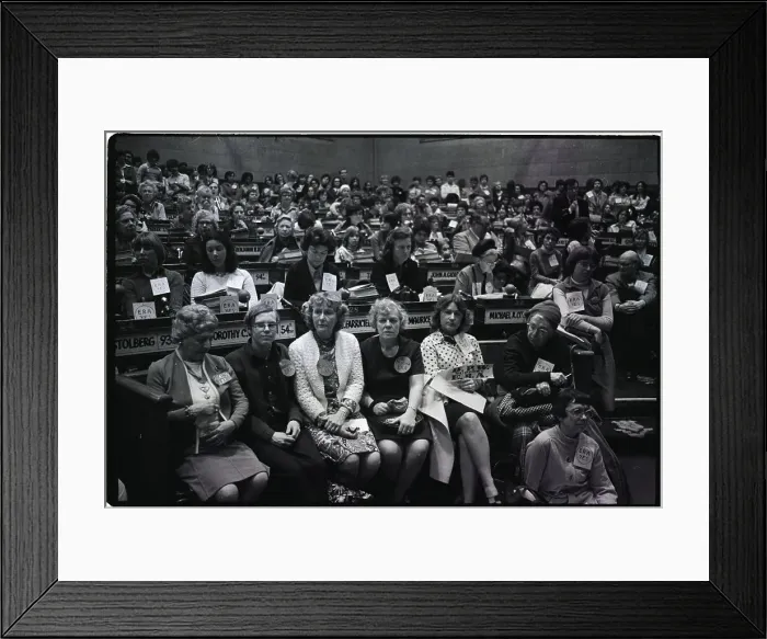 Framed Print : State Congressional E.R.A. Hearing Framed Print : State Congressional E.R.A. Hearing