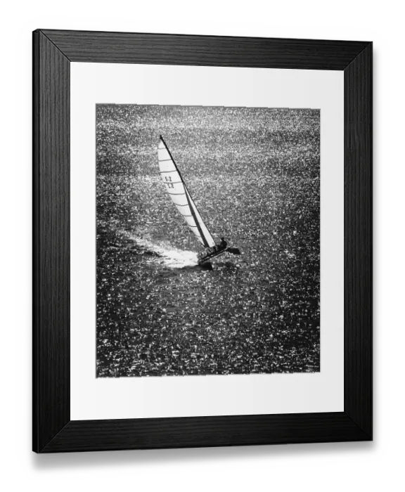 Framed Print : Catamaran Sailing in Mission Bay Framed Print : Catamaran Sailing in Mission Bay