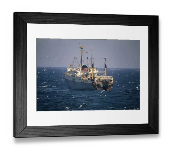 Framed Print : Fishing Trawler Framed Print : Fishing Trawler