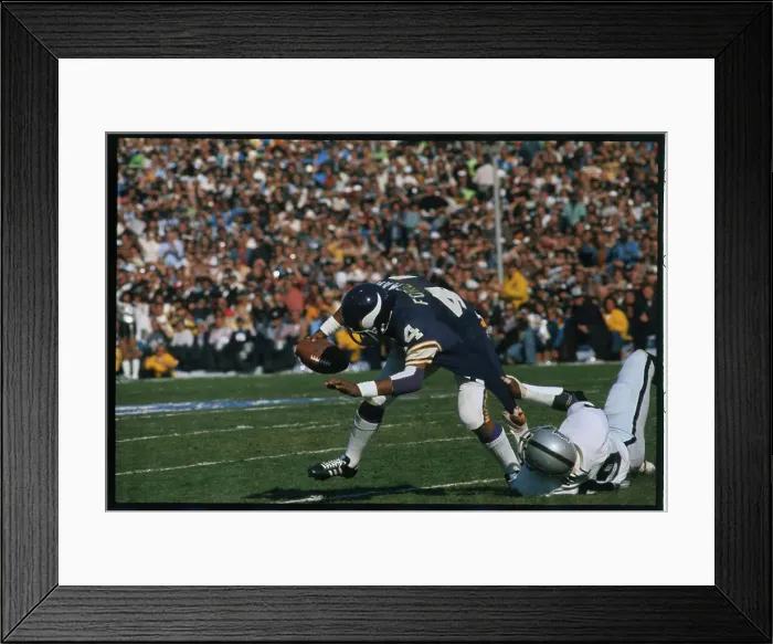 Framed Print : Chuck Foreman Tackled Framed Print : Chuck Foreman Tackled