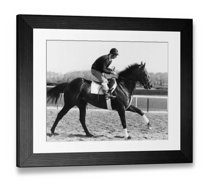 Framed Print : Race Horse Seattle Slew Trotting Framed Print : Race Horse Seattle Slew Trotting