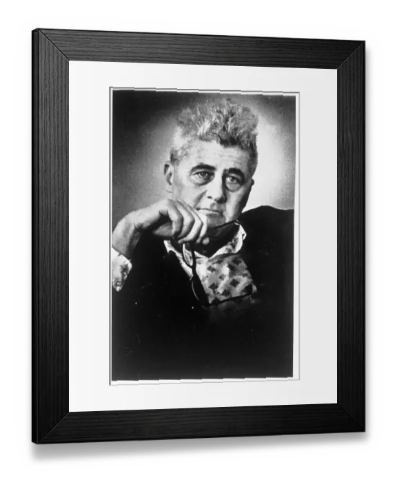 Framed Print : Howard Nemerov