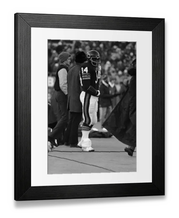 Framed Print : Injured Walter Payton Standing on Sidelines Framed Print : Injured Walter Payton Standing on Sidelines