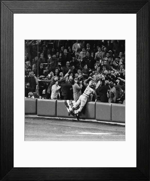 Framed Print : Johnny Bench Diving In Stands For Ball Framed Print : Johnny Bench Diving In Stands For Ball