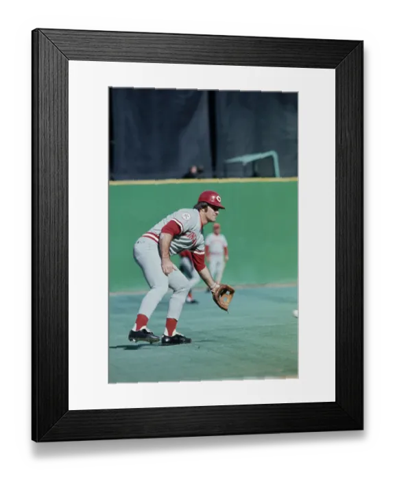 Framed Print : Baseball Player Pete Rose Framed Print : Baseball Player Pete Rose