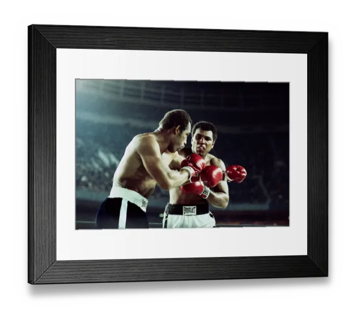 Framed Print : Boxers Ken Norton and Muhammad Ali Fighting Framed Print : Boxers Ken Norton and Muhammad Ali Fighting