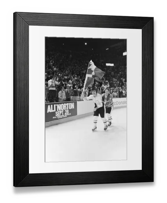 Framed Print : Denis Potvin Framed Print : Denis Potvin