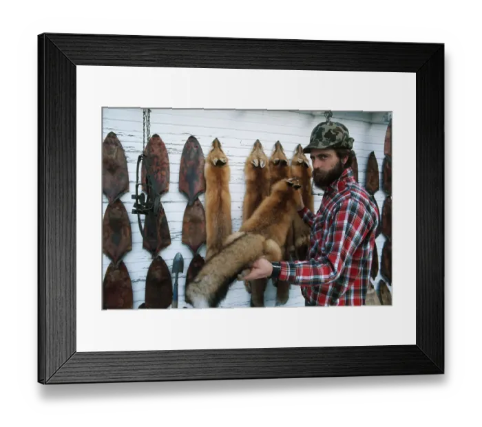 Framed Print : Trapper Displaying Furs Framed Print : Trapper Displaying Furs