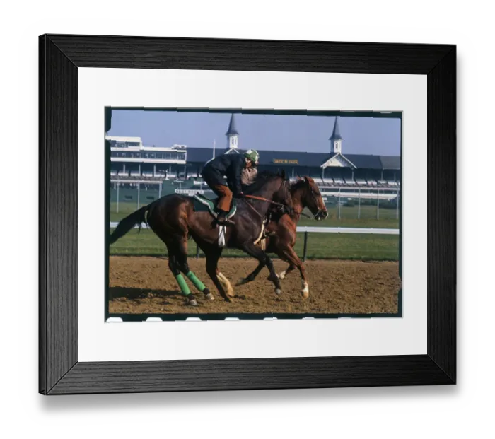 Framed Print : Horse Honest Pleasure During Practice Run Framed Print : Horse Honest Pleasure During Practice Run