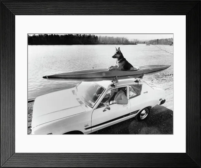 Framed Print : Kayak Dog. Riding high along the shores of the Hudson River is King in a kayak
