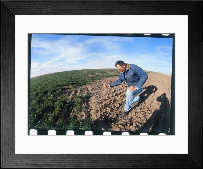 Framed Print : Farmer Checking Soil Framed Print : Farmer Checking Soil