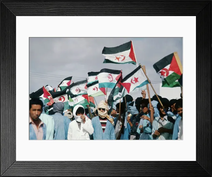 Framed Print : Members of Polisario Front Demonstrating Framed Print : Members of Polisario Front Demonstrating