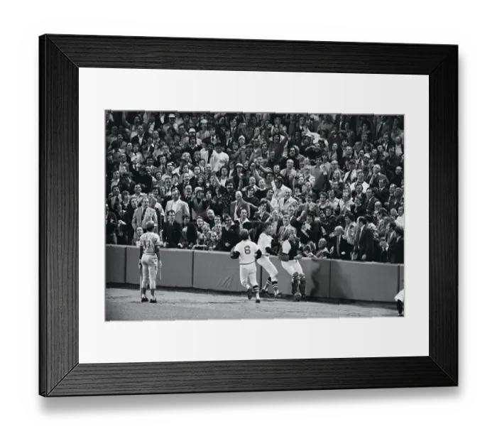 Framed Print : Carlton Fisk Catching Ball Near the Stands Framed Print : Carlton Fisk Catching Ball Near the Stands
