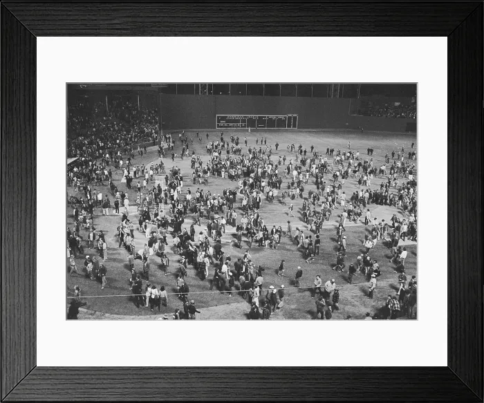 Framed Print : People Fighting in Fenway Park Framed Print : People Fighting in Fenway Park