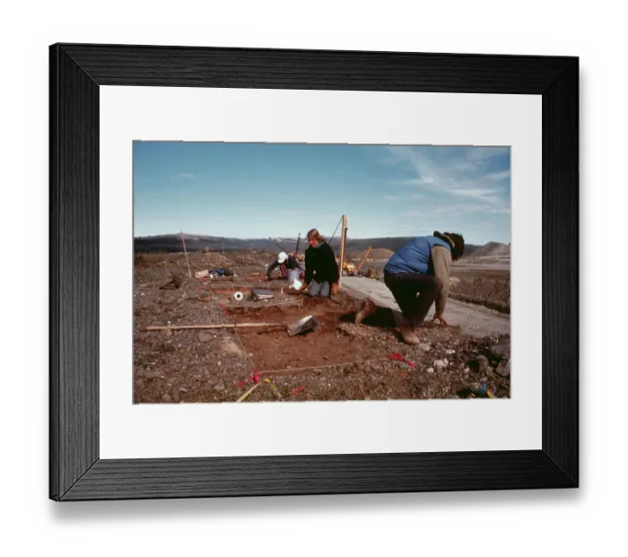 Framed Print : Archeologist Digging for Artifacts Framed Print : Archeologist Digging for Artifacts