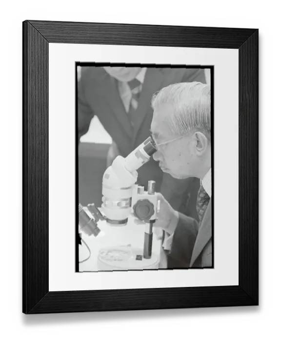 Framed Print : Emperor Hirohito at His Microscope Framed Print : Emperor Hirohito at His Microscope