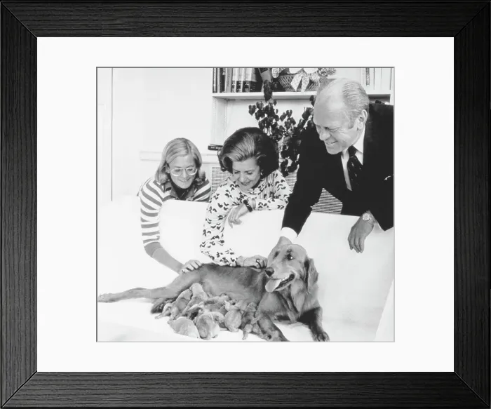 Framed Print : Gerald Ford and Family Petting Family Dog Framed Print : Gerald Ford and Family Petting Family Dog