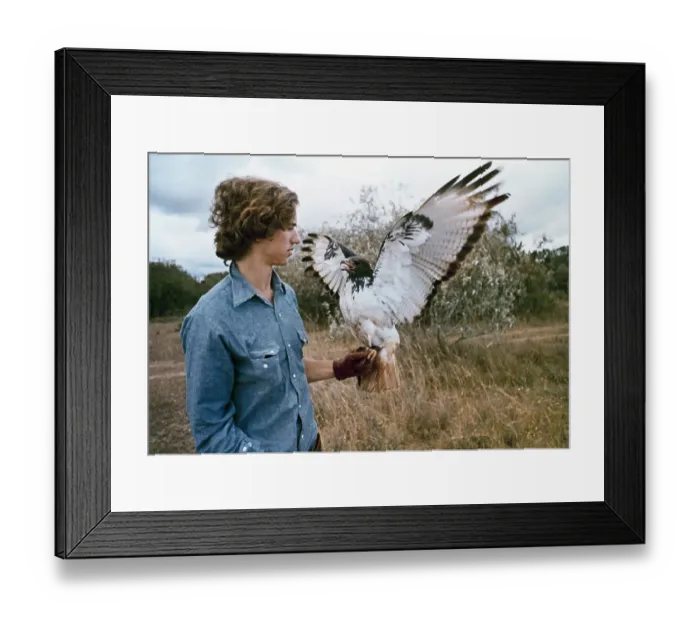 Framed Print : Bobby Kennedy Jr. Holding a Hawk Framed Print : Bobby Kennedy Jr. Holding a Hawk
