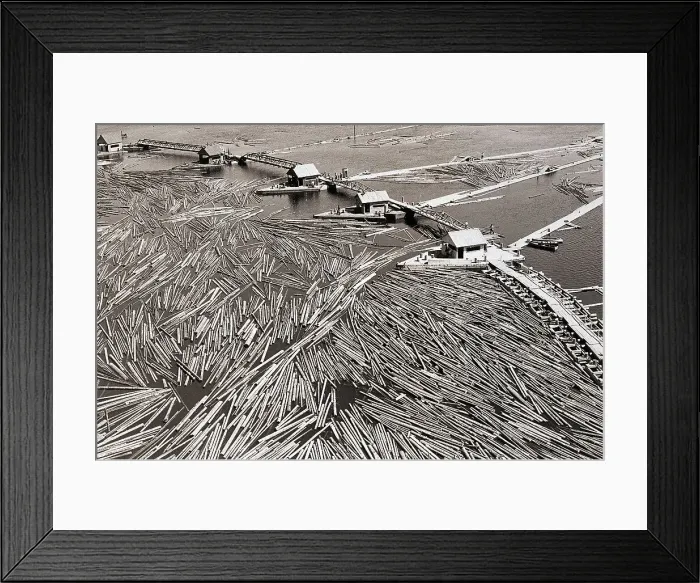 Framed Print : Overhead of Floating Timber Framed Print : Overhead of Floating Timber
