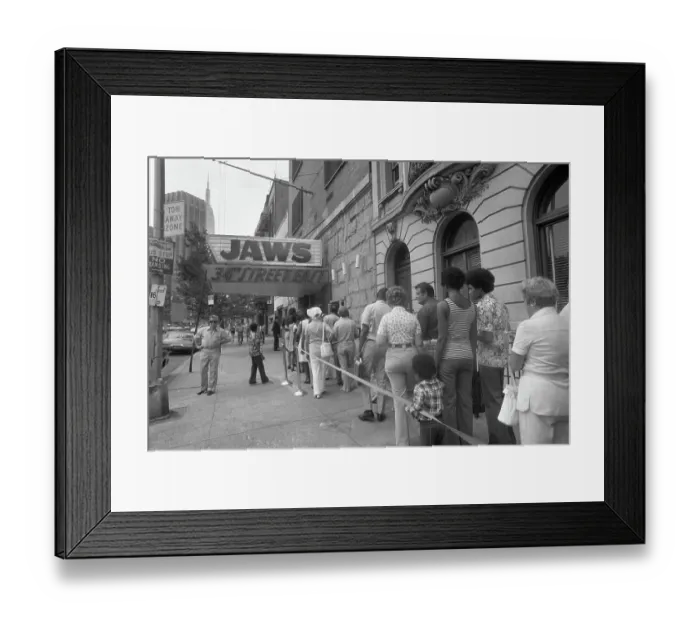 Framed Print : Waiting to See Jaws Framed Print : Waiting to See Jaws