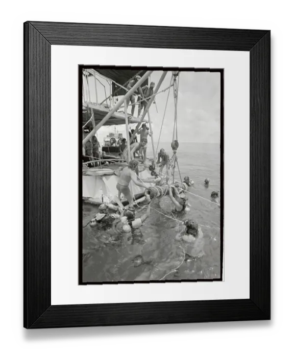 Framed Print : Divers and Workers Hoisting Cannon Framed Print : Divers and Workers Hoisting Cannon