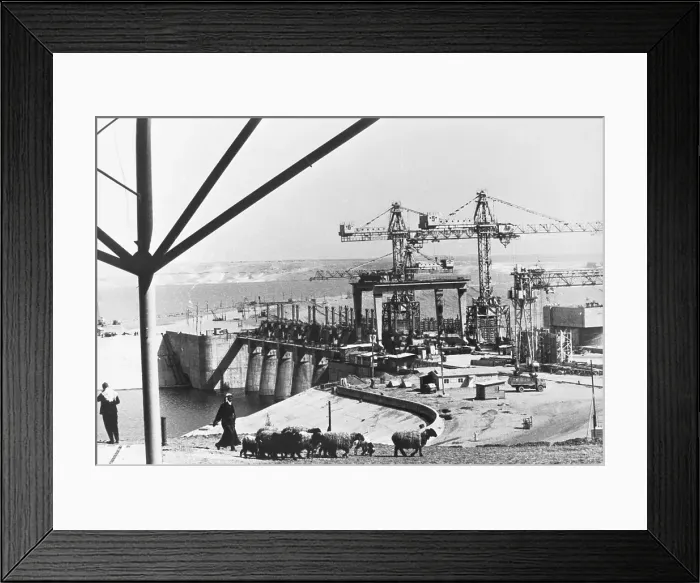 Framed Print : Shepherd Walking by Dam
