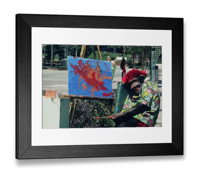 Framed Print : Monkey Painting on Canvas Framed Print : Monkey Painting on Canvas