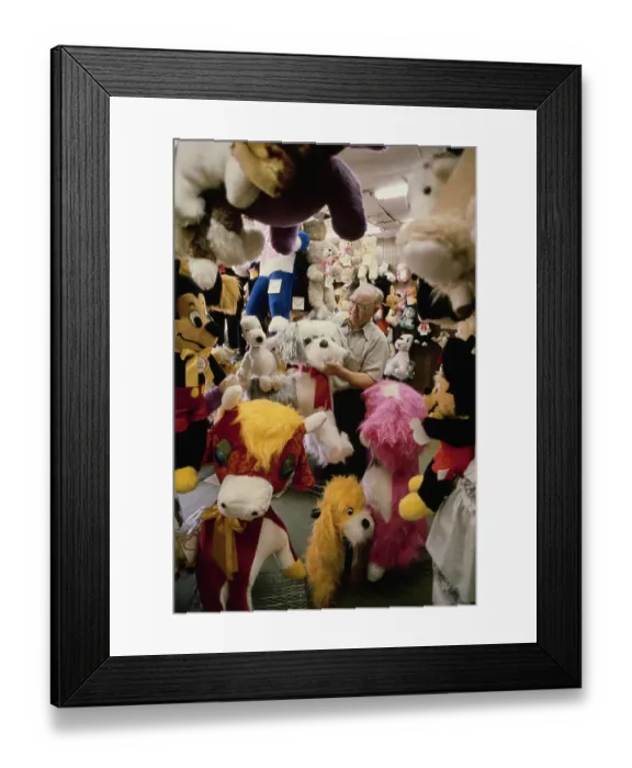 Framed Print : Animal Wonderland Shop Framed Print : Animal Wonderland Shop