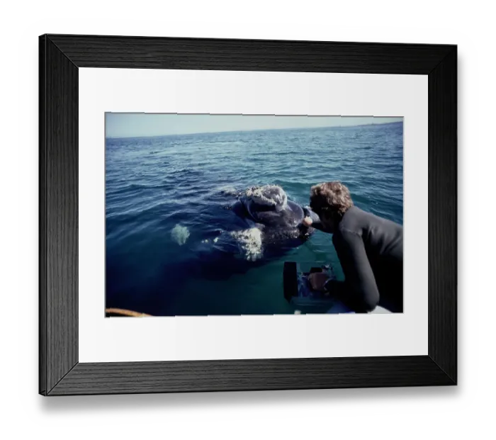 Framed Print : Man With Whale Framed Print : Man With Whale
