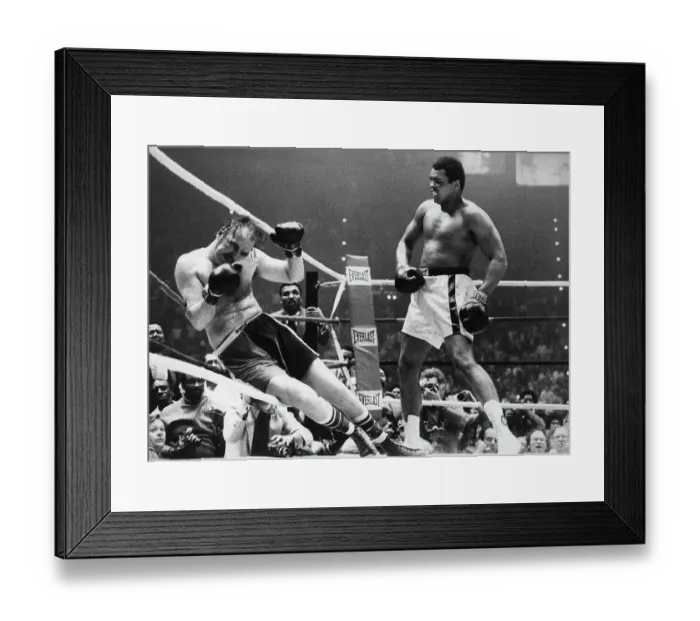 Framed Print : Muhammad Ali Knocking Chuck Wepner onto the Ropes Framed Print : Muhammad Ali Knocking Chuck Wepner onto the Ropes