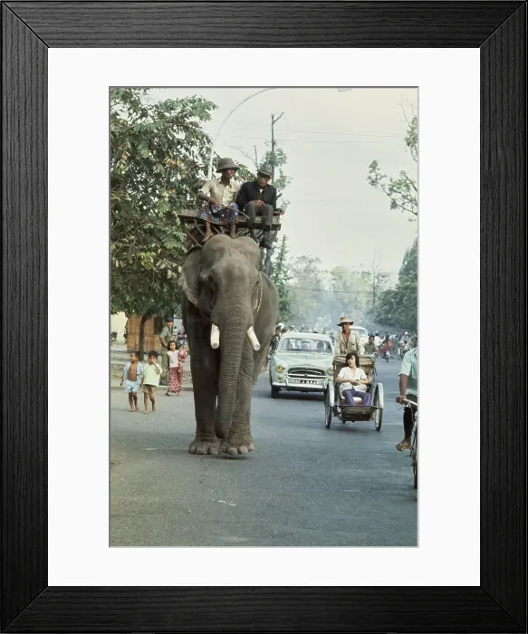 Framed Print : Elephant Ride In Cambodia Framed Print : Elephant Ride In Cambodia