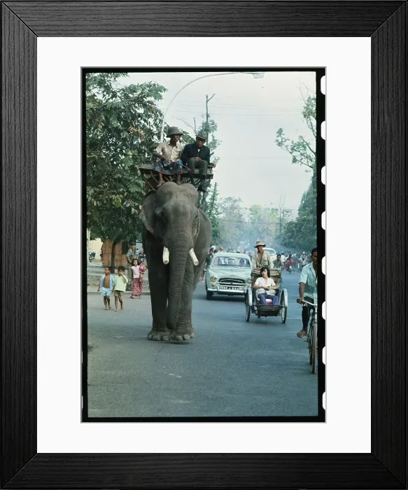 Framed Print : Men Riding an Elephant in Traffic Framed Print : Men Riding an Elephant in Traffic