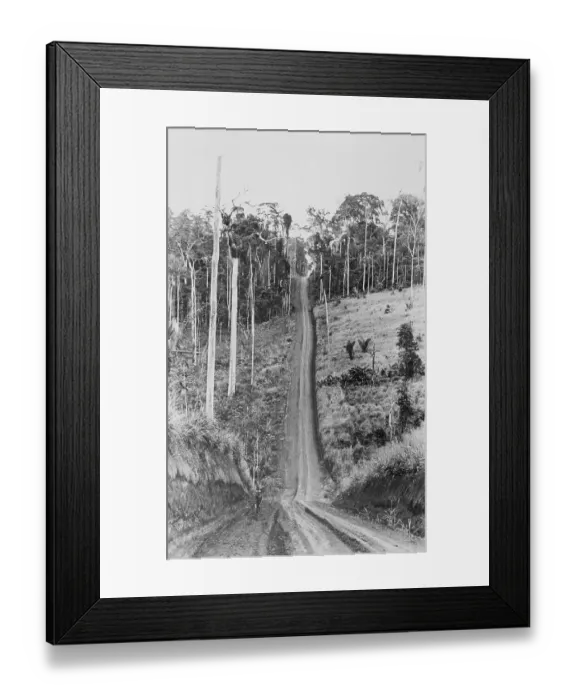 Framed Print : Trans-Amazon Highway