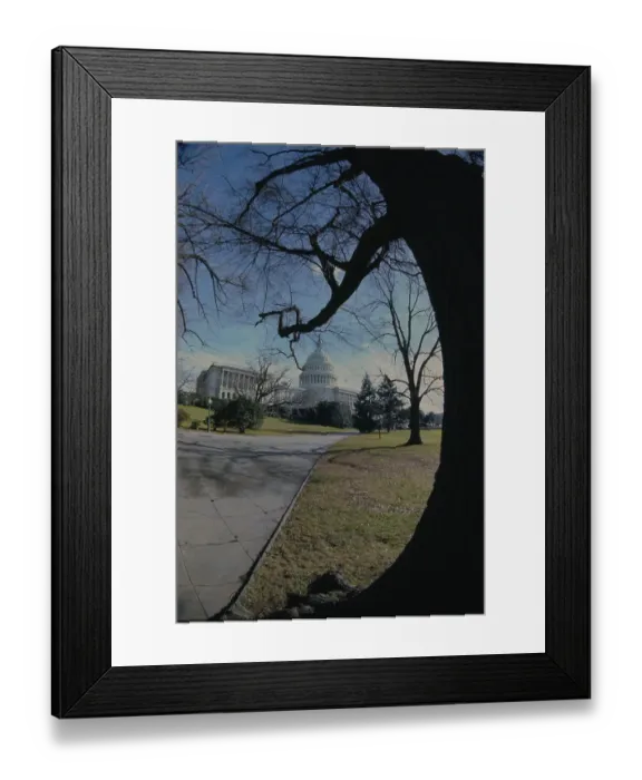 Framed Print : United States Capitol Building Framed Print : United States Capitol Building