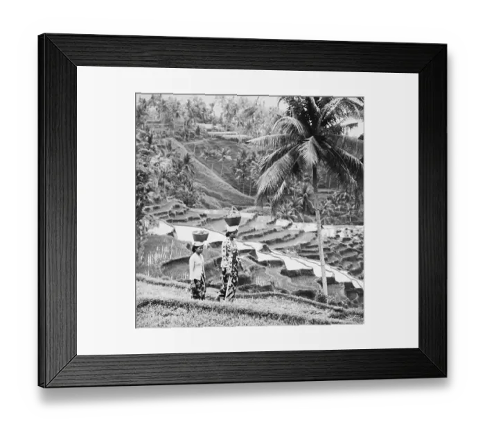 Framed Print : Girls Carrying Baskets on Head Framed Print : Girls Carrying Baskets on Head