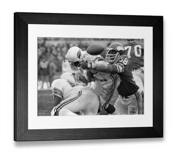 Framed Print : Vikings and Cardinals in Football Action Framed Print : Vikings and Cardinals in Football Action