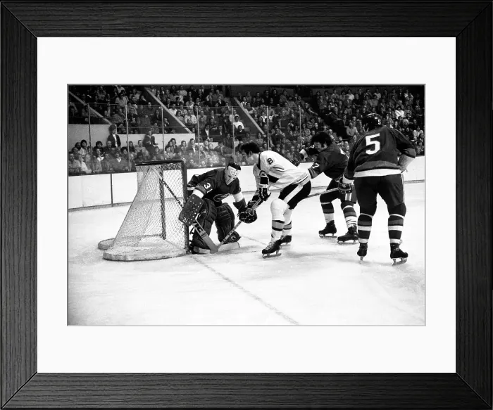 Framed Print : Bruins Versus Islanders Framed Print : Bruins Versus Islanders