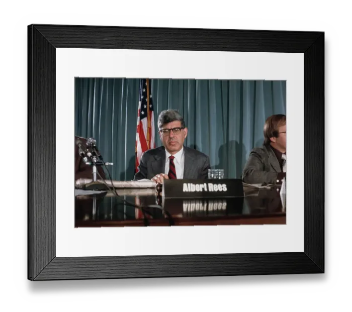 Framed Print : Economist Albert Rees