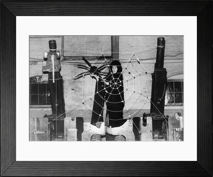 Framed Print : Laurie Cabot Decorating for Witches Halloween Ball Framed Print : Laurie Cabot Decorating for Witches Halloween Ball