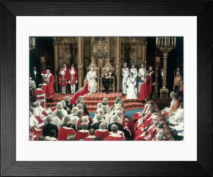 Framed Print : Parliament in Session Framed Print : Parliament in Session