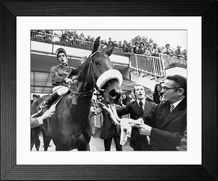 Framed Print : Daniel Wildenstein Welcomes Winning Horse Framed Print : Daniel Wildenstein Welcomes Winning Horse