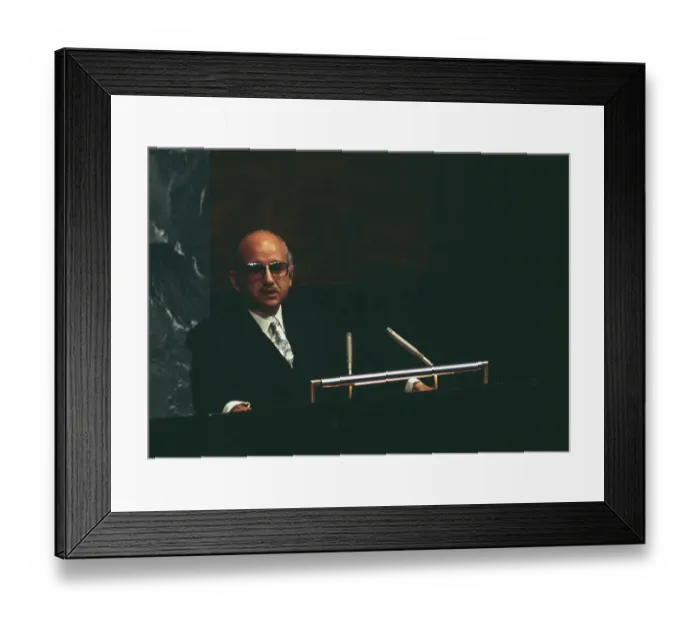 Framed Print : Egyptian Politician Minister Ismail Fahmi Framed Print : Egyptian Politician Minister Ismail Fahmi