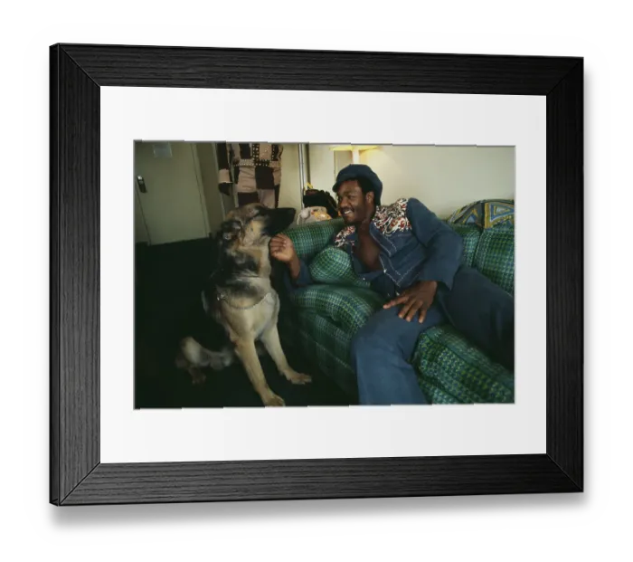 Framed Print : George Foreman Pets Dog Framed Print : George Foreman Pets Dog