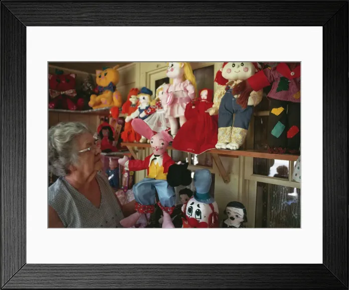 Framed Print : Toys And Dolls Framed Print : Toys And Dolls