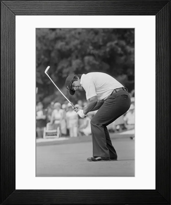 Framed Print : Lee Trevino Bending in Golf Position Framed Print : Lee Trevino Bending in Golf Position