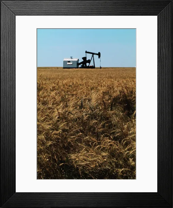 Framed Print : Crops Ready for Harvest Framed Print : Crops Ready for Harvest