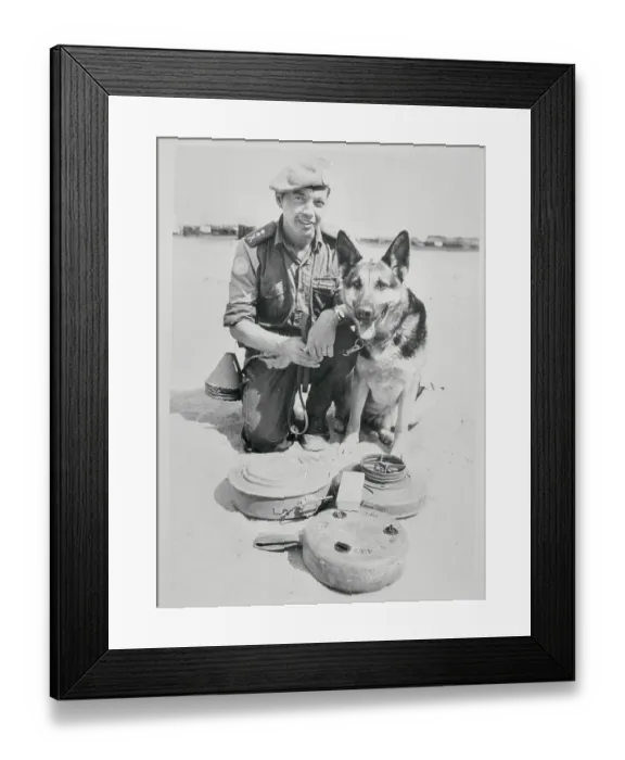 Framed Print : United Nations Emergency Force Dog Posing with Man Framed Print : United Nations Emergency Force Dog Posing with Man